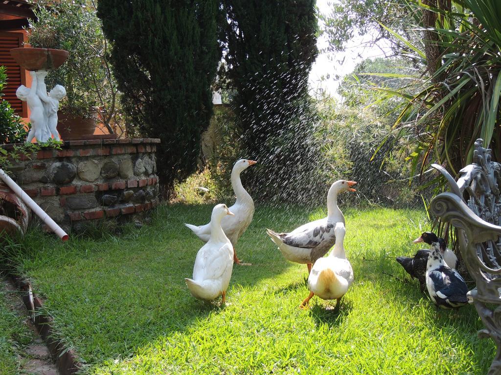 Il Cipresso Del Gallo Montecatini Terme Bagian luar foto